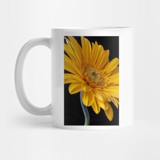 Curvy Yellow Gerbera Daisy Mug